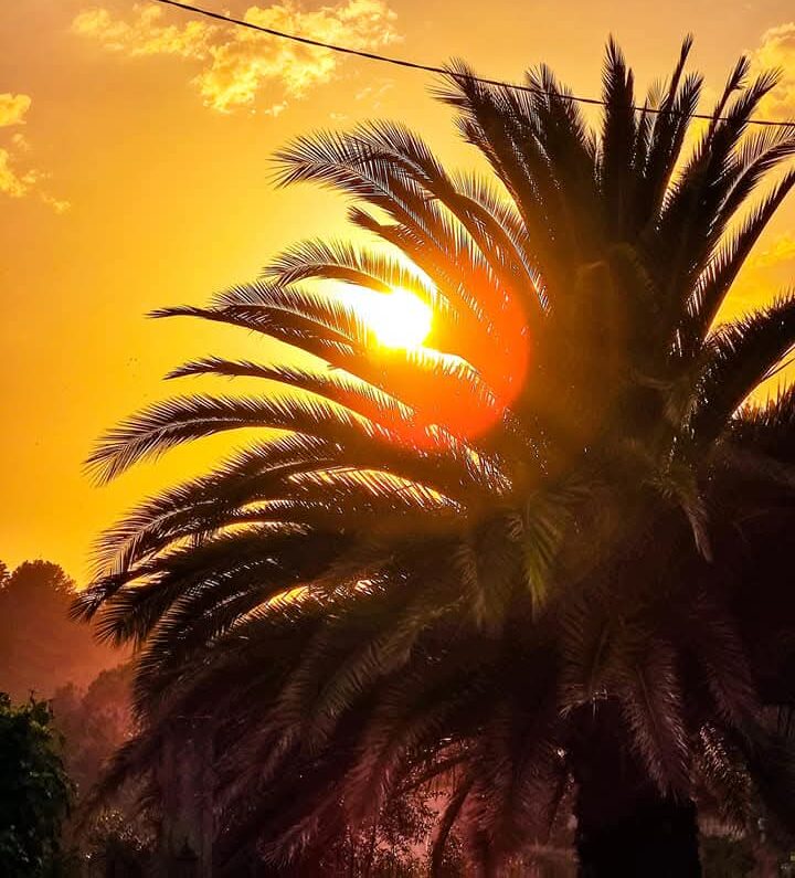 FB_IMG_1739005552770