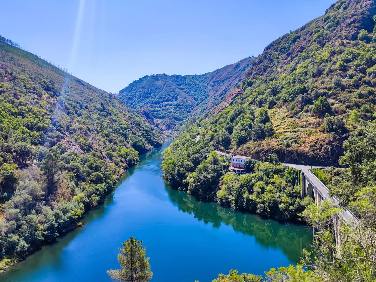 FB_IMG_1739005595133